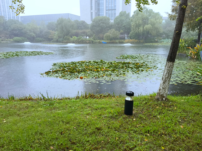 秋雨思周末长沙团聚