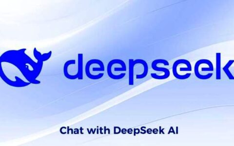 乙巳新春 • 贺deepseek-R1发布