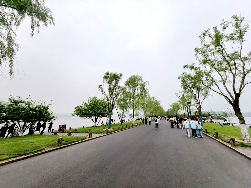 春季健步行——白堤