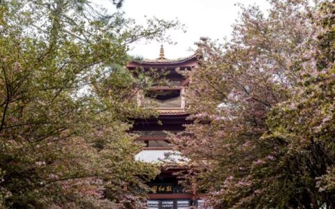 晓园