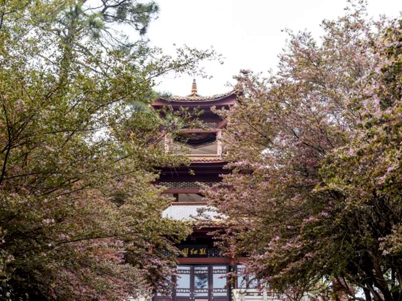 晓园