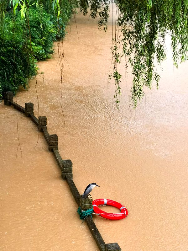 近几年罕见的暴雨