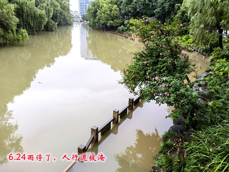 近几年罕见的暴雨